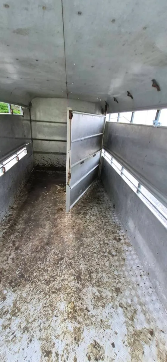 12 FOOT X 5FT 6 CATTLE TRAILER - Image 3