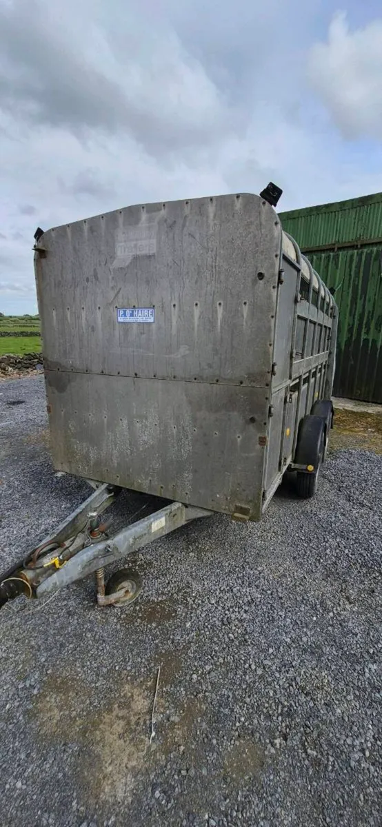 12 FOOT X 5FT 6 CATTLE TRAILER - Image 4