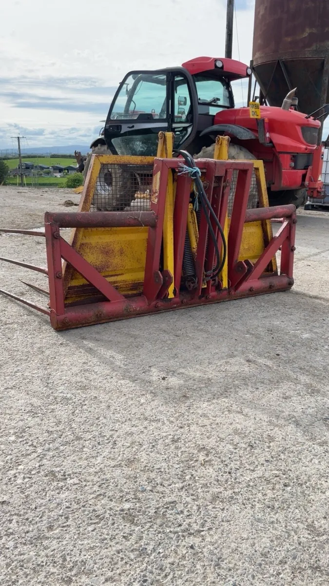 Buckrake - Image 2