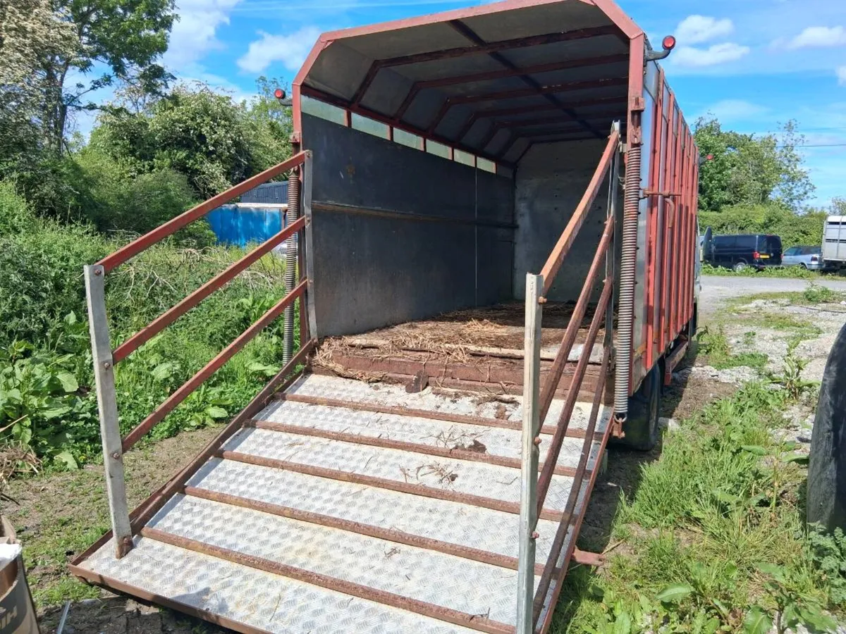 Cattle bodies - Image 3