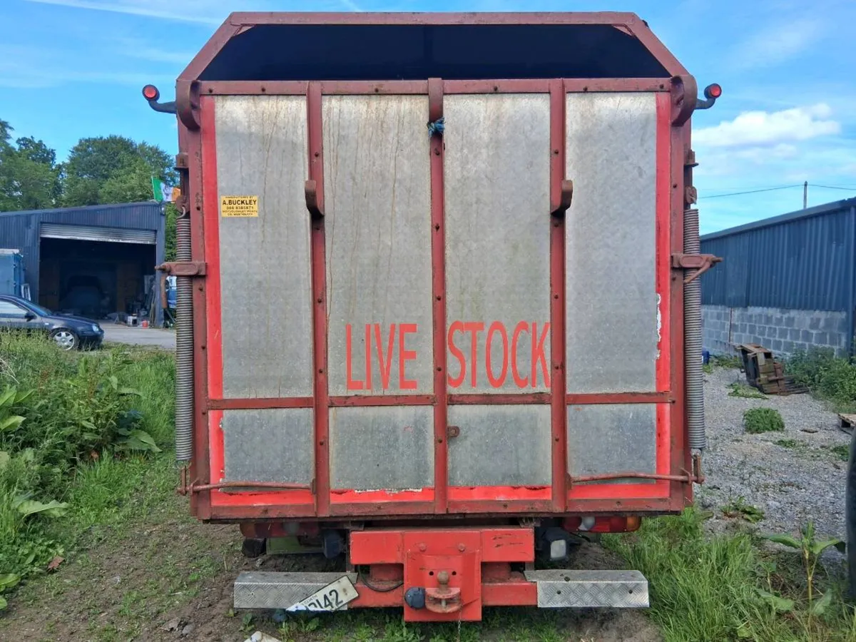 Cattle bodies - Image 4