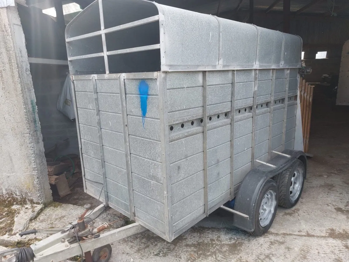 Aluminium Cow Trailer - Image 3