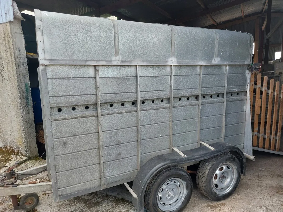 Aluminium Cow Trailer - Image 4