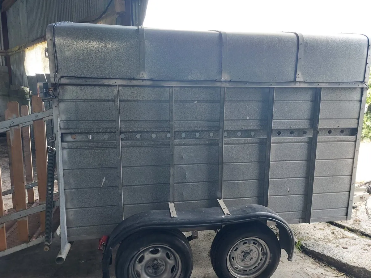 Aluminium Cow Trailer - Image 1