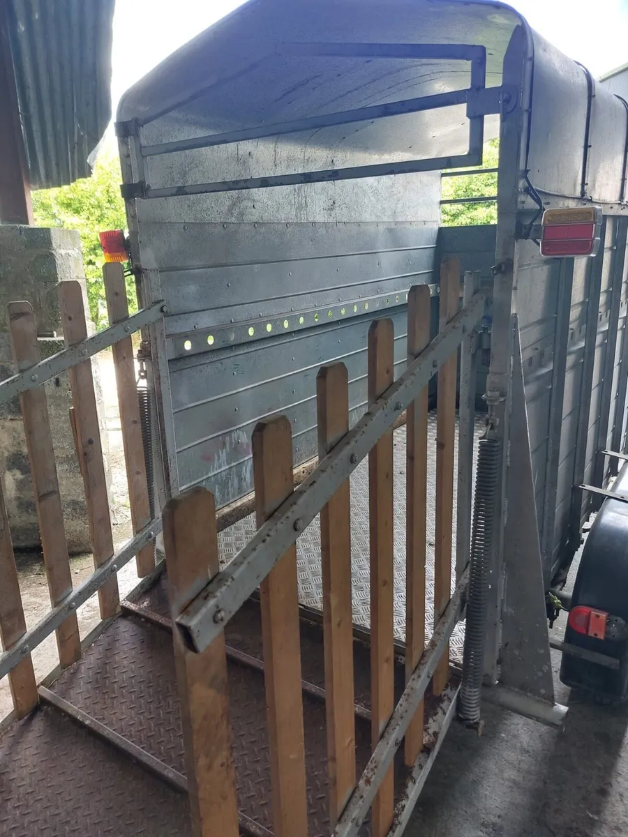 Aluminium Cow Trailer - Image 2