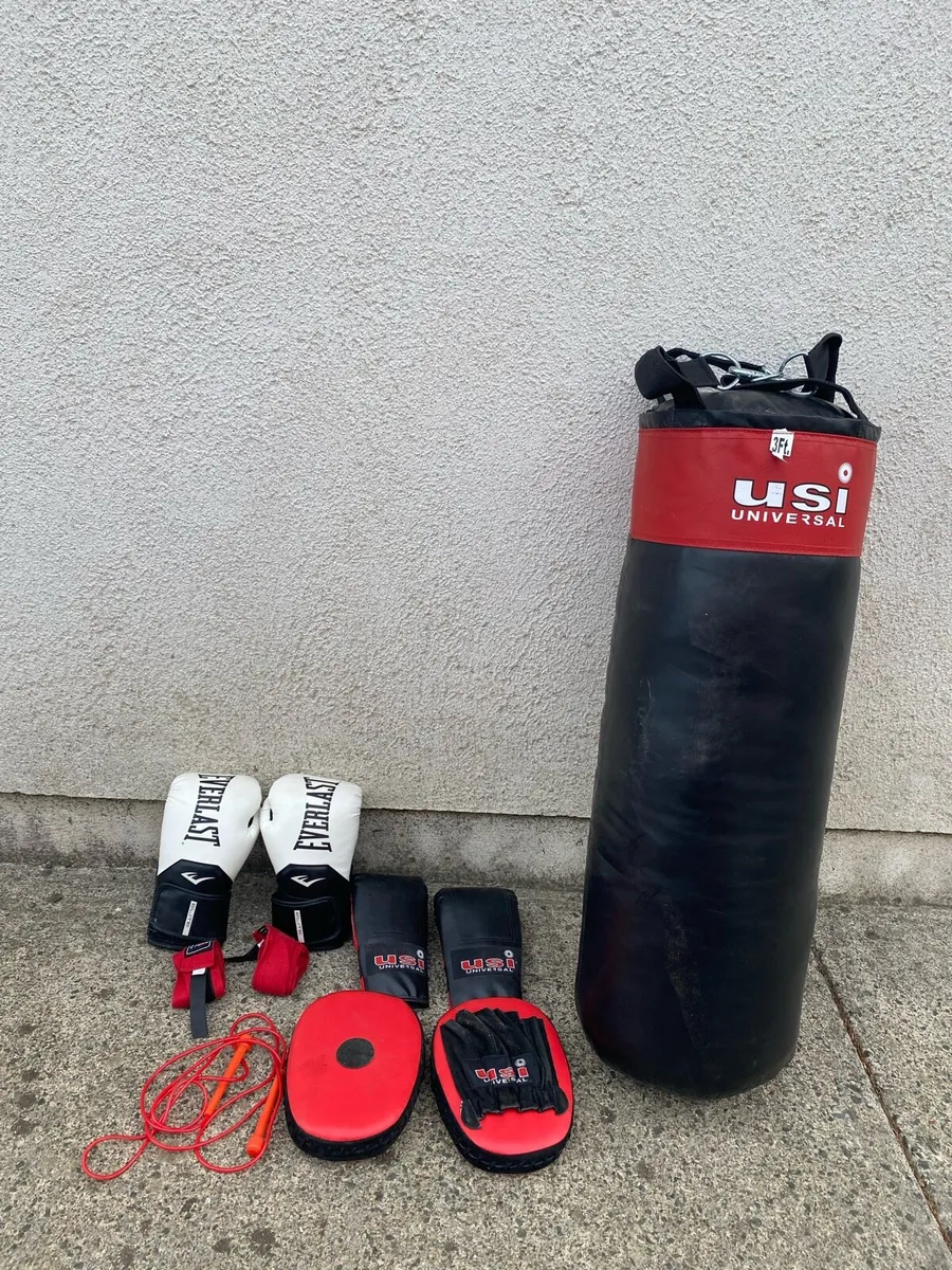 Boxing bag, gloves & pads - Image 1