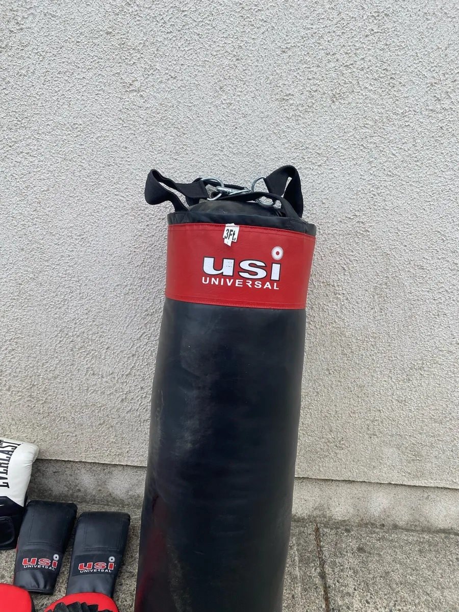Boxing bag, gloves & pads - Image 2