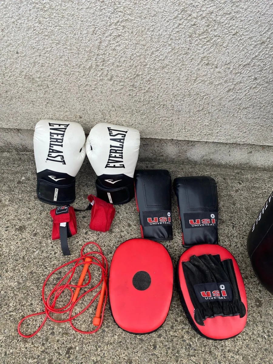 Boxing bag, gloves & pads - Image 3