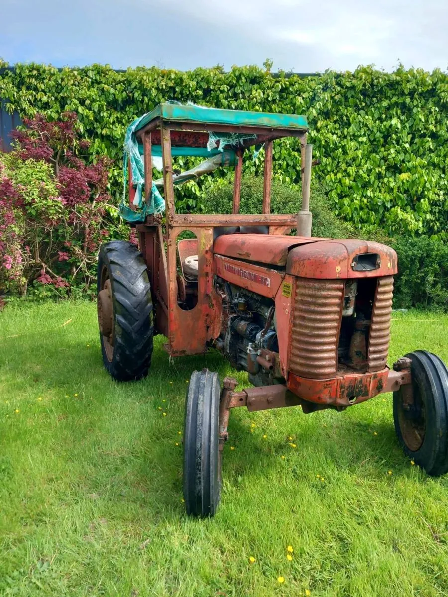 Massey ferguson 65 - Image 4
