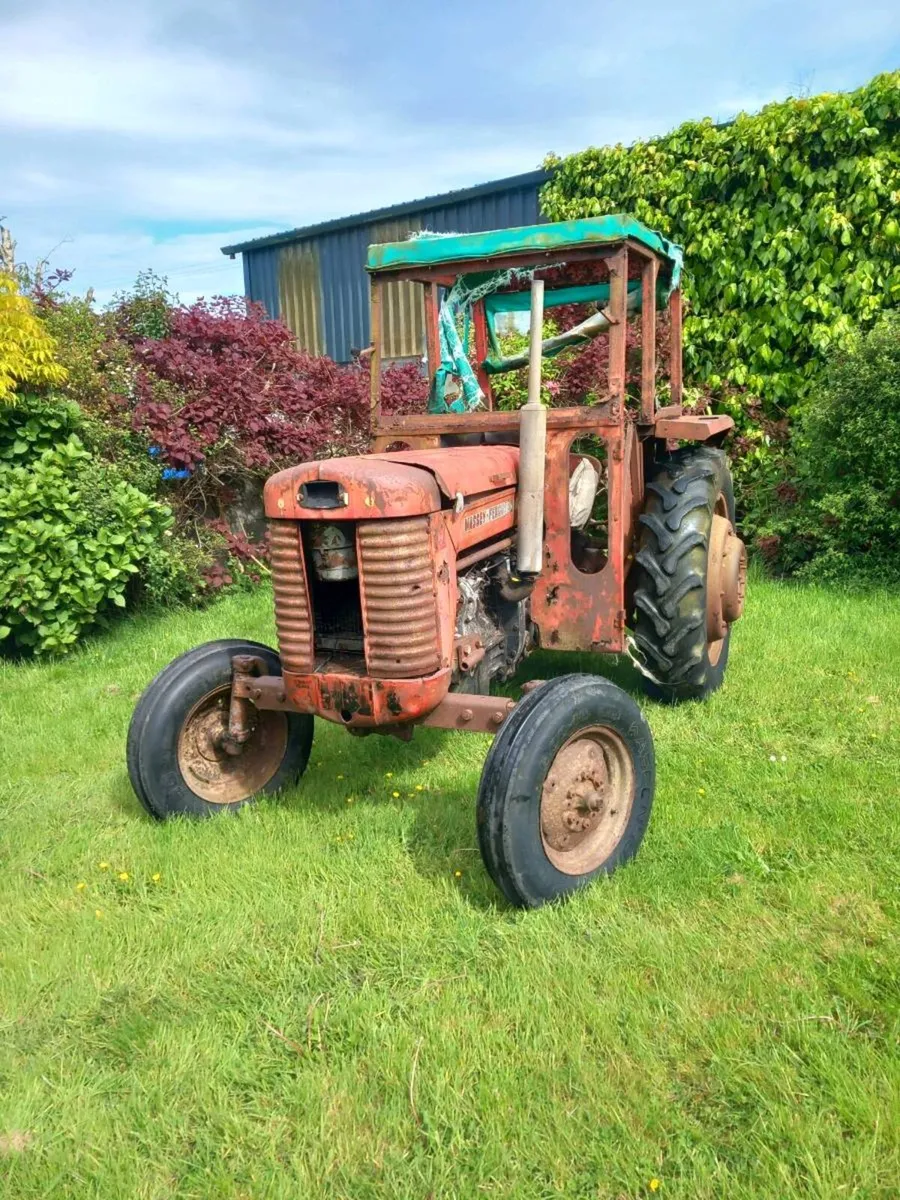 Massey ferguson 65 - Image 2