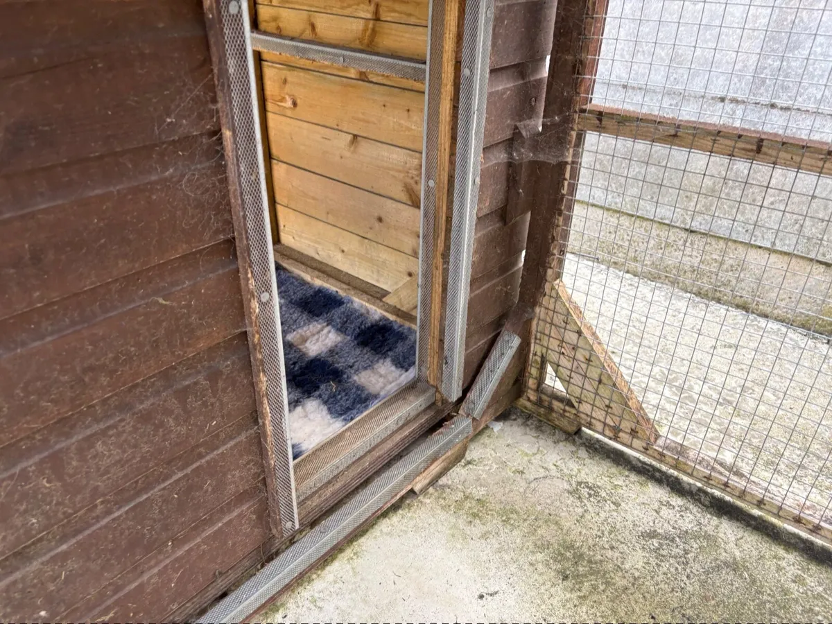 Dog Kennel - Image 2