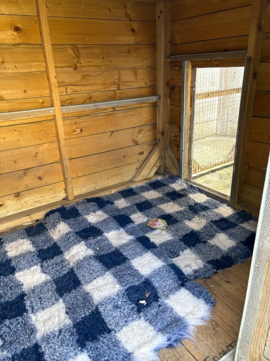 Dog Kennel - Image 3