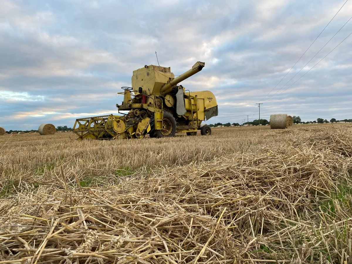 Clayson M103 - Image 1