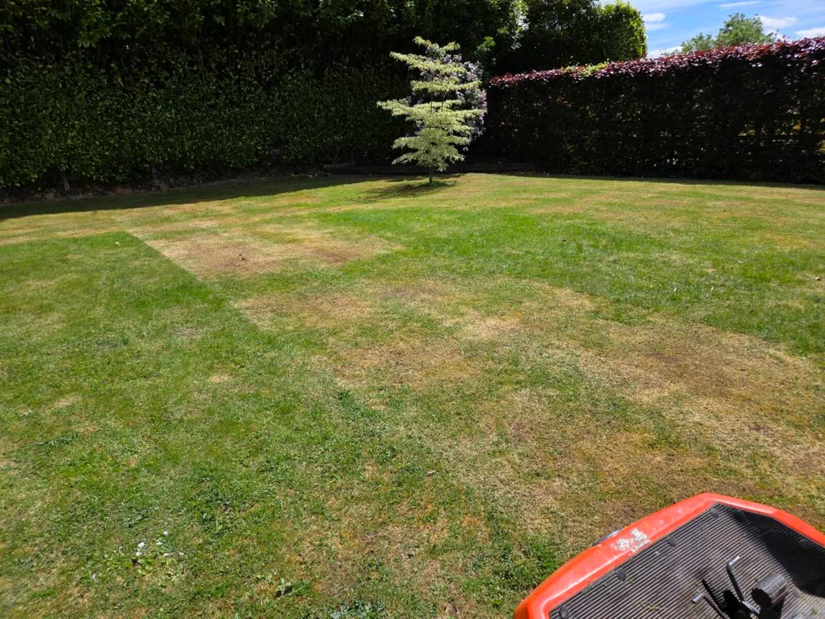 Lawnmower - Image 2