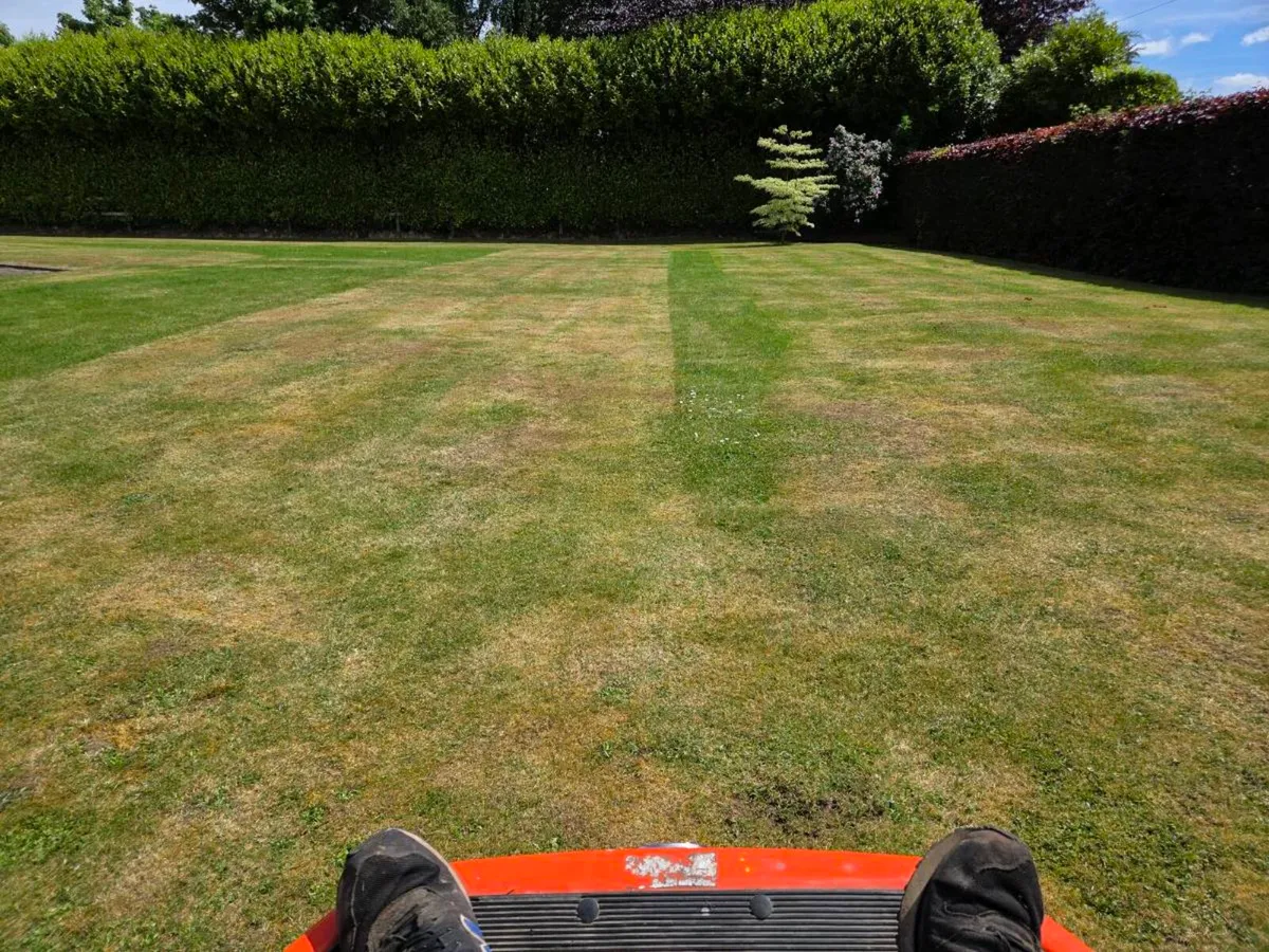 Lawnmower - Image 3