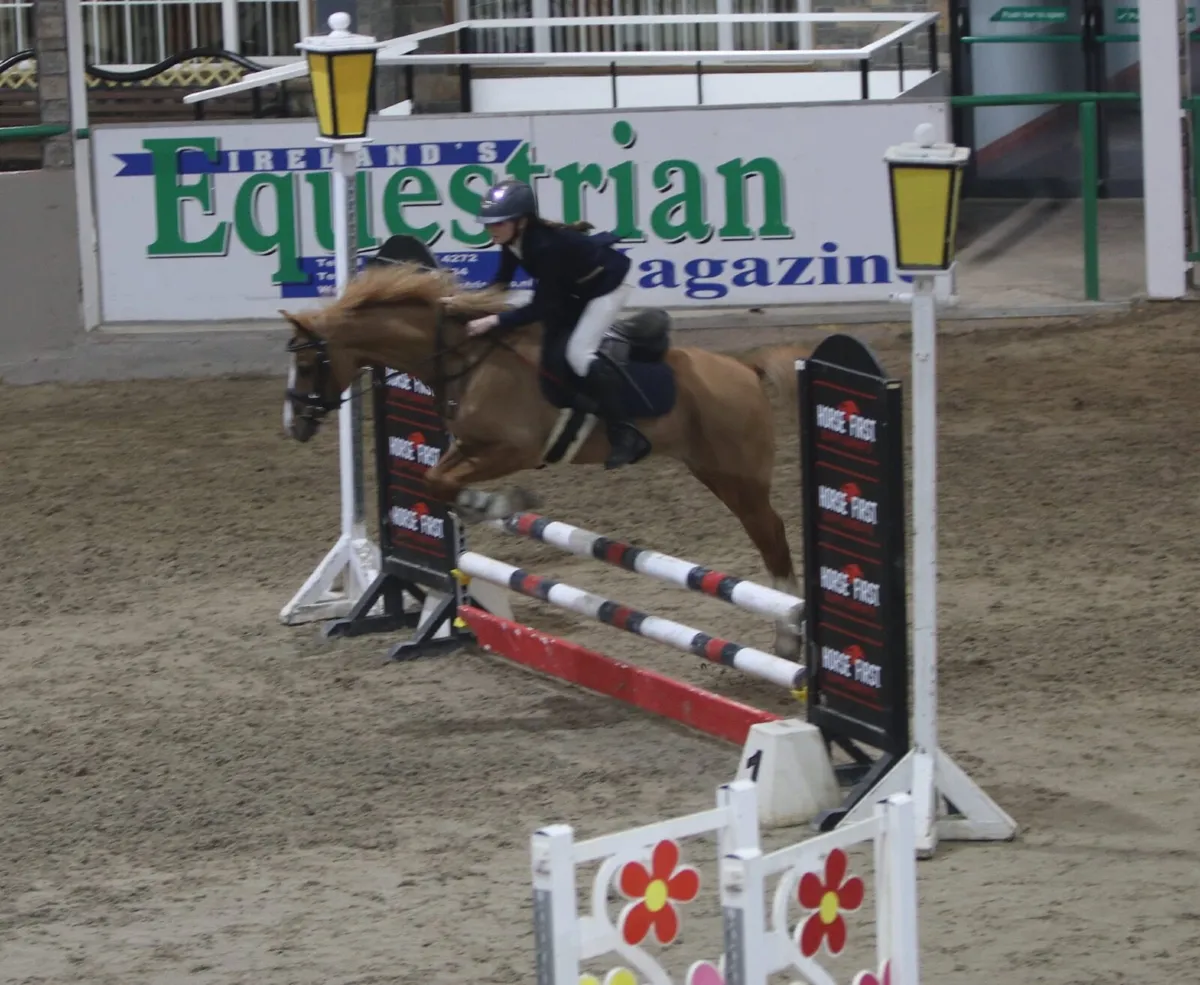Welsh 128cm Chestnut Pony - Elite 128 Prospect - Image 1