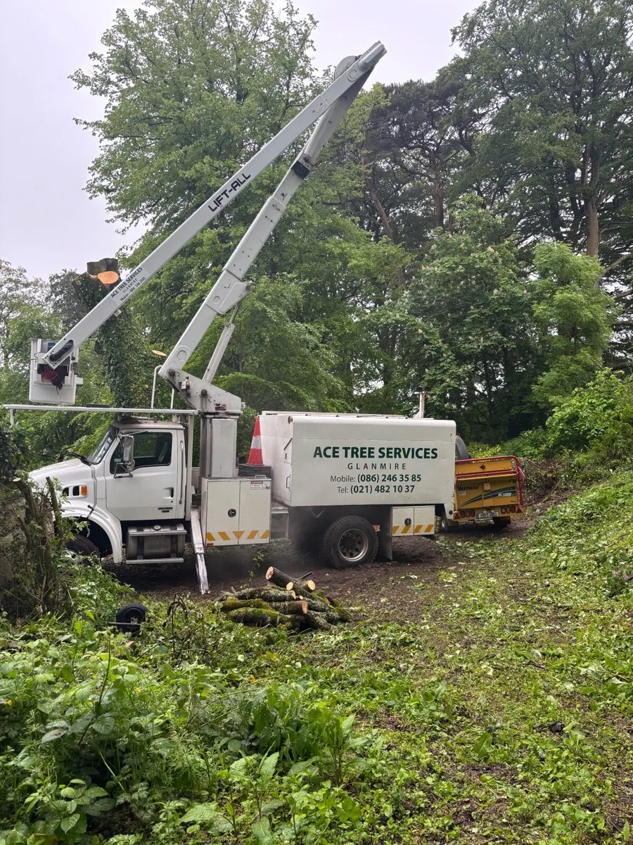 Plant machinery - Image 1