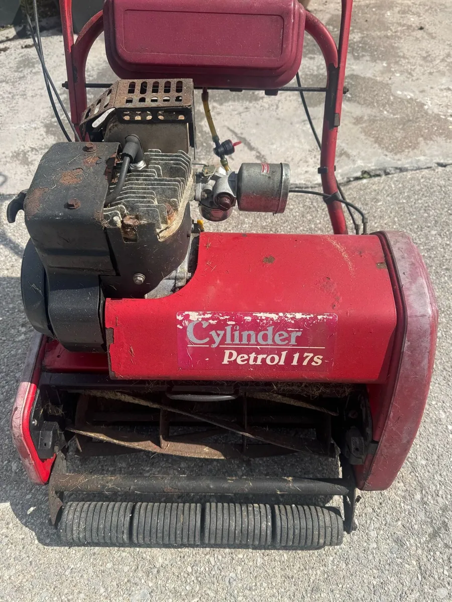 Cylinder Mower - Image 2