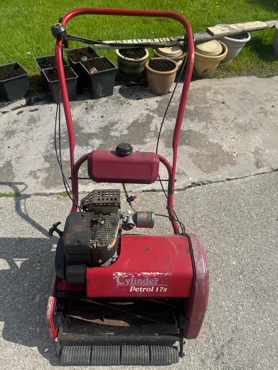 Cylinder Mower - Image 1