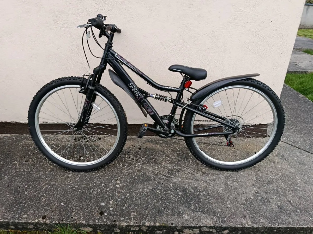 Ladies bicycle