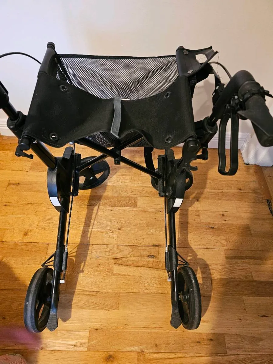Walker - Image 2