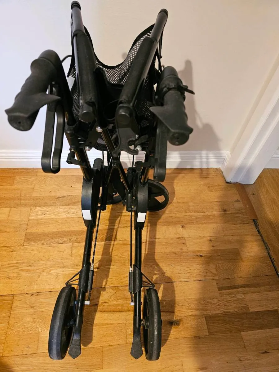 Walker - Image 4