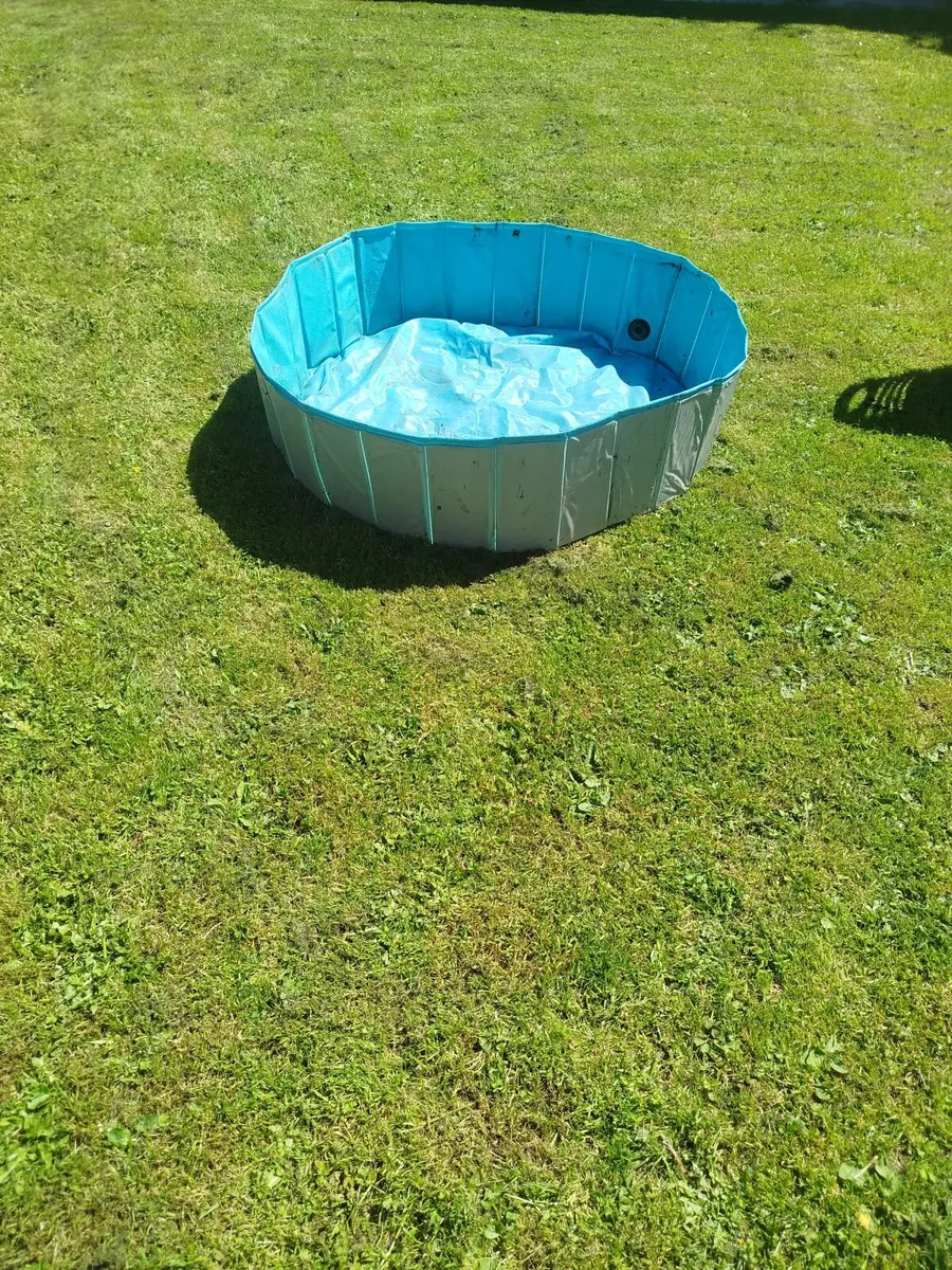 Egg chair ,waterslide,dog pool,empty tonne bags - Image 4