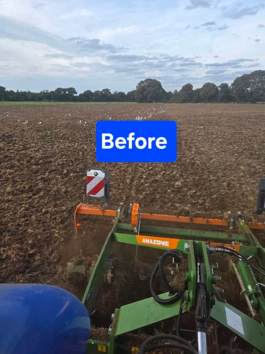 Reseeding/ Grass stitching - Image 1