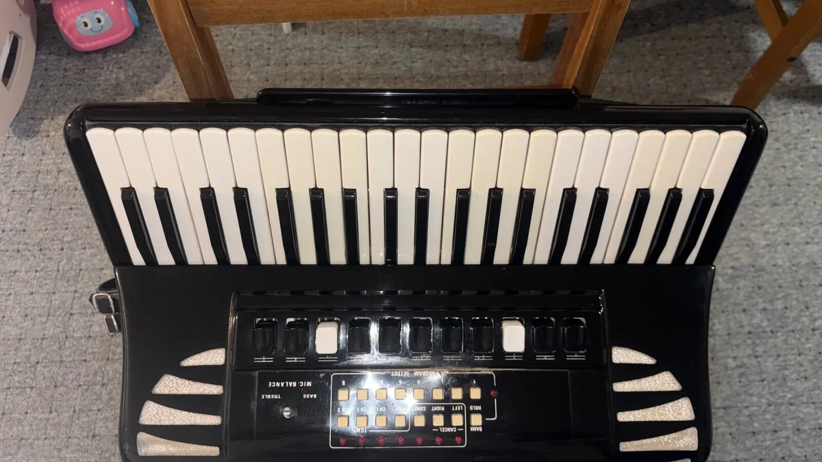 accordion excelsior - Image 2