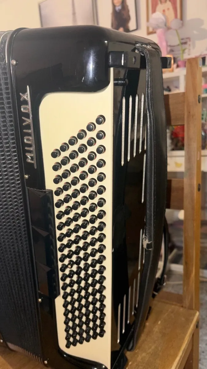 accordion excelsior - Image 3