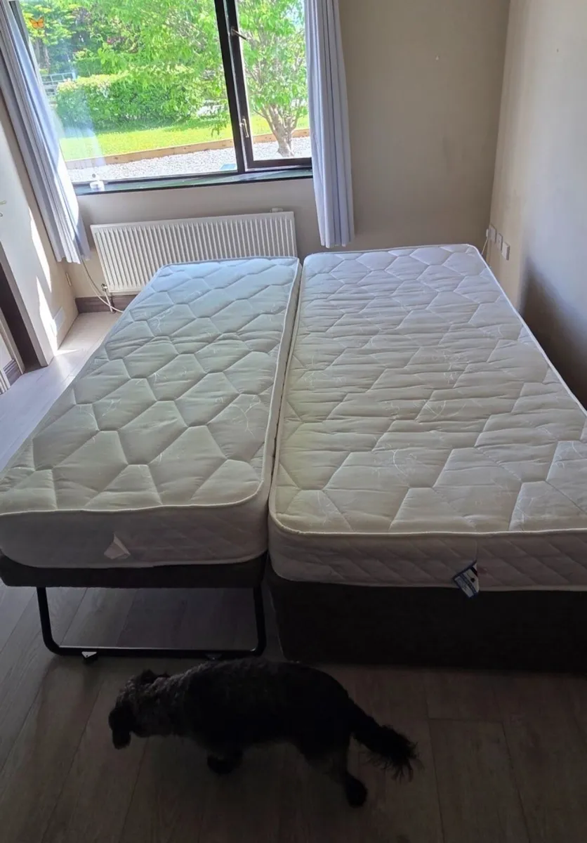 Single Bed with Pull Out Bed / Trundle - Image 4
