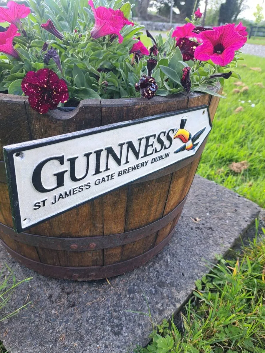 Guinness cast iron sign - Image 2
