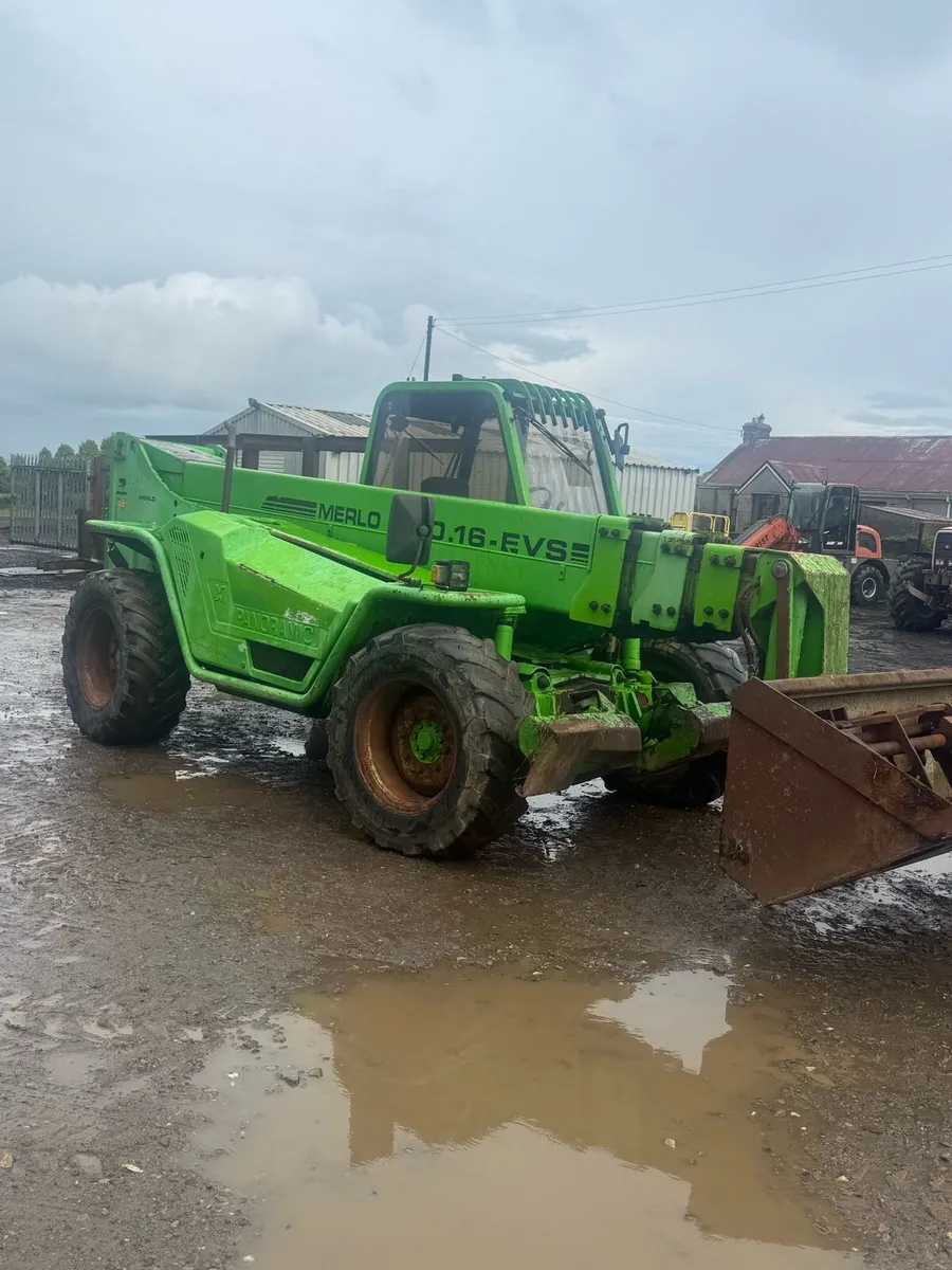 Merlo - Image 2