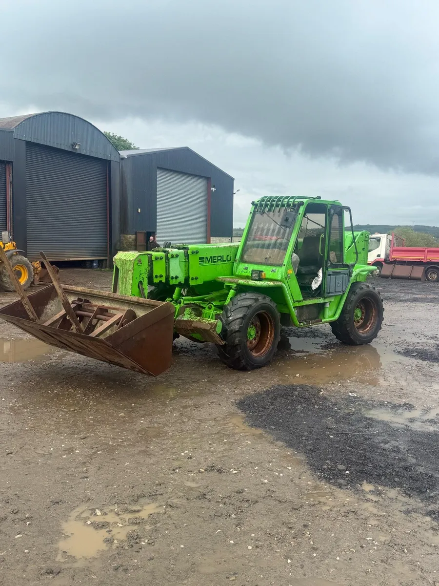 Merlo - Image 1