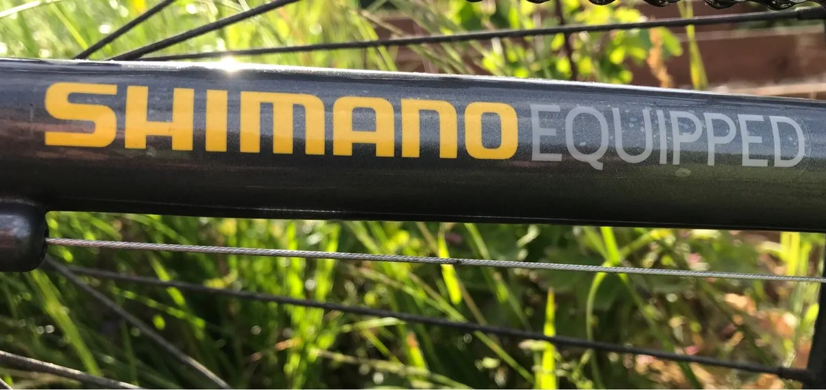 Large man’s bike - Image 4