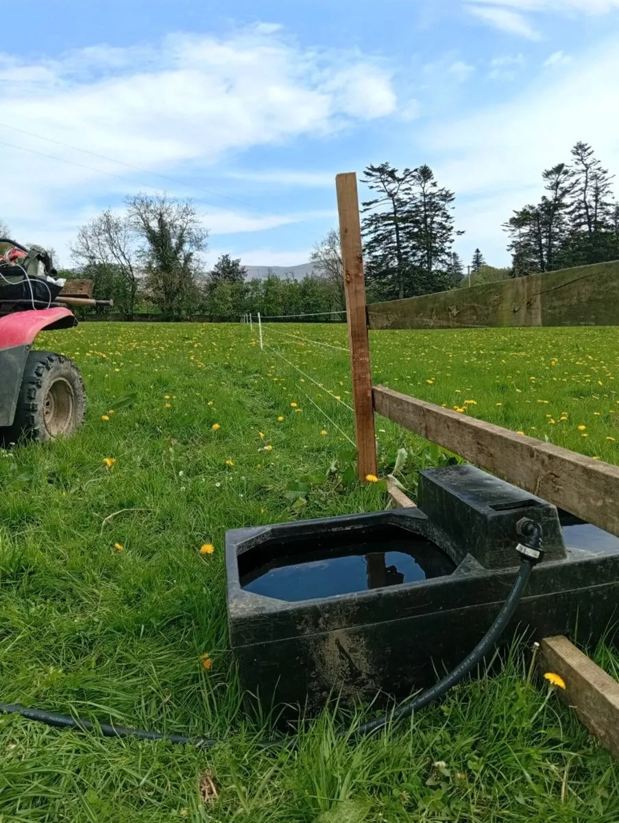 Contract Shepherding Services - Image 3