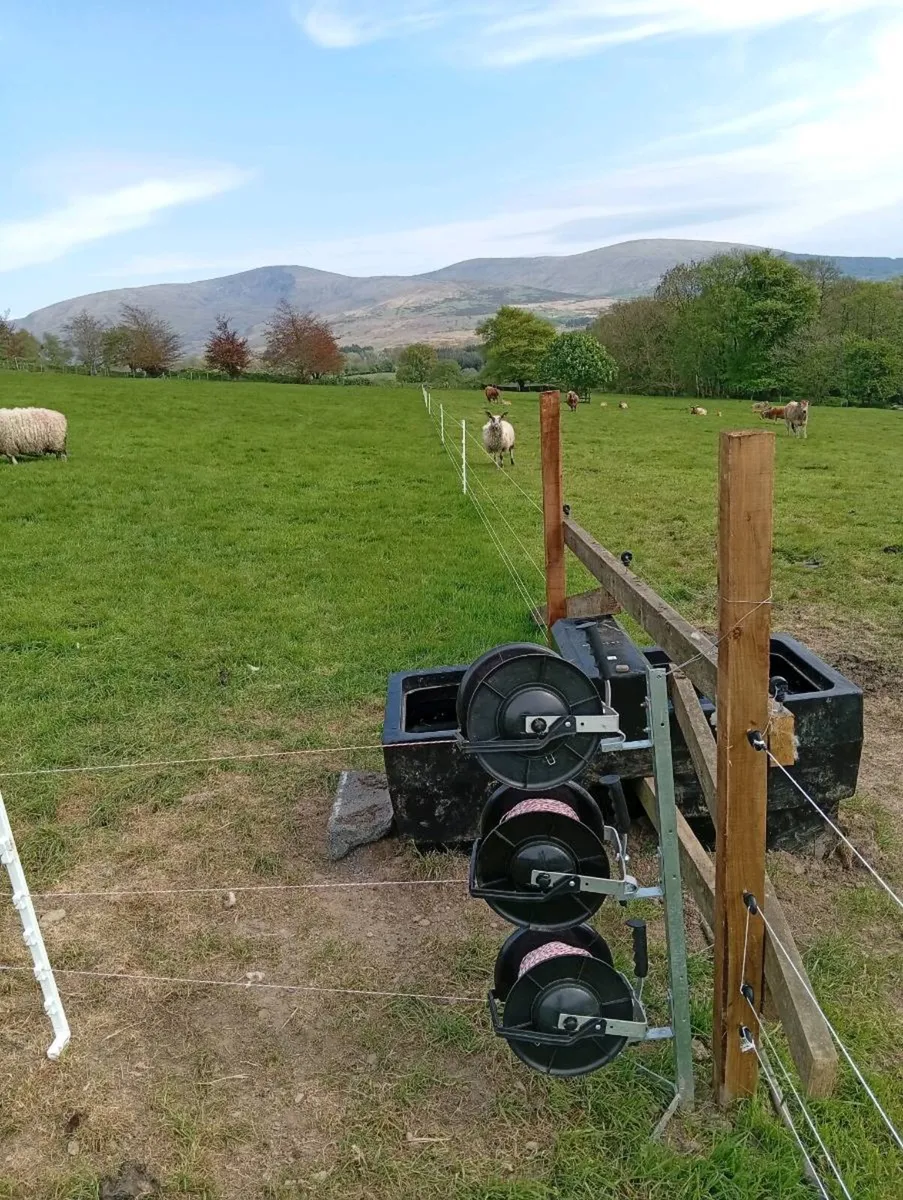 Contract Shepherding Services - Image 4