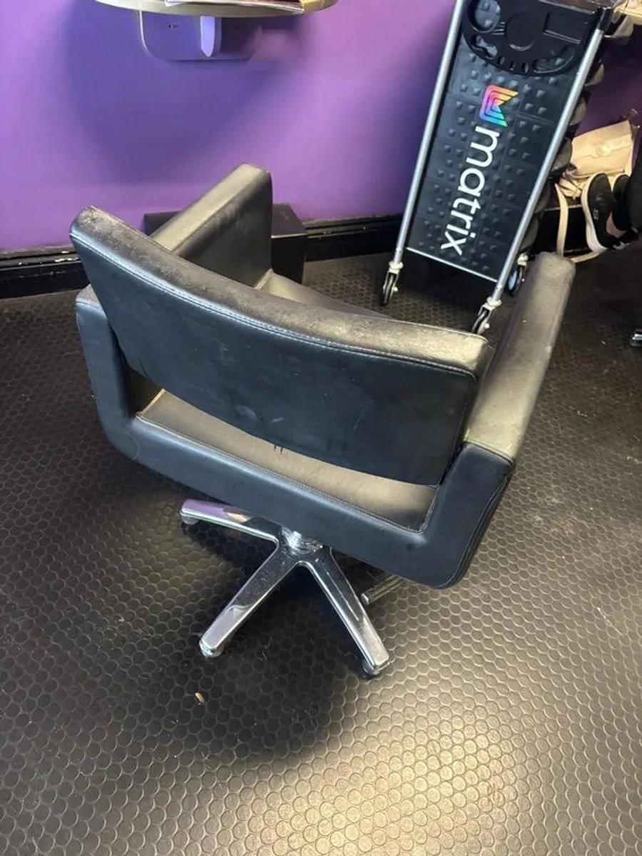 Salon Chairs - Image 1