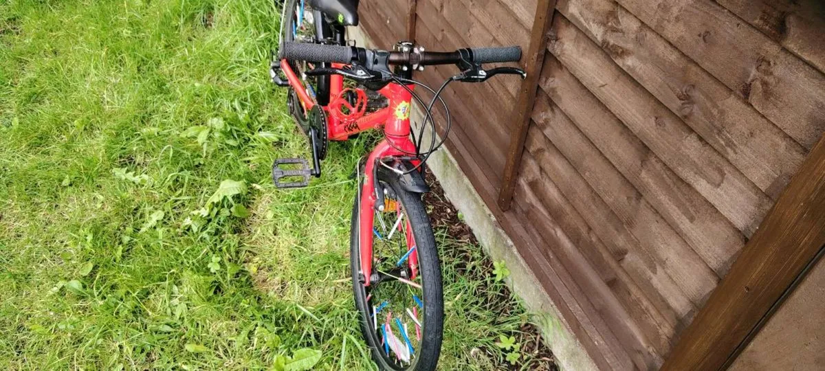 Frog 52 bike - Image 3