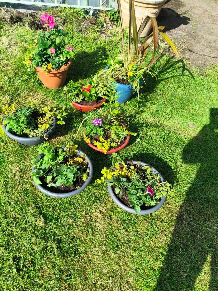 Beautiful selection of pots 2 large 5 med lot 100 - Image 1