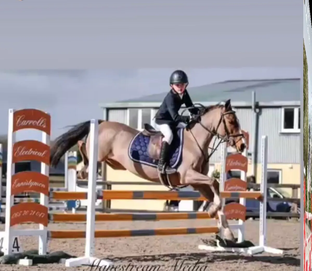 128 showjumping pony - Image 3