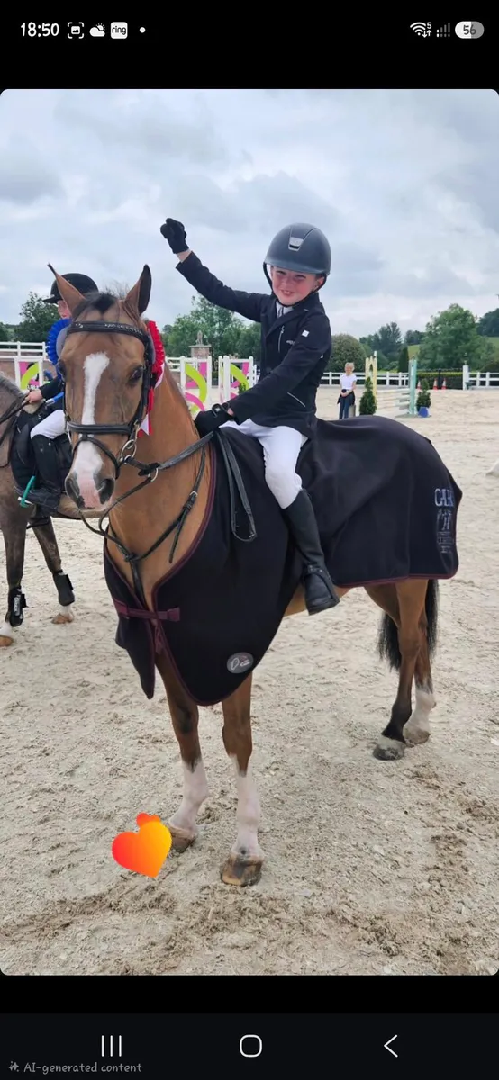 128 showjumping pony - Image 4