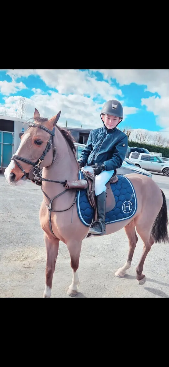 128 showjumping pony - Image 1