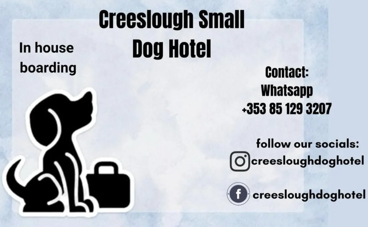 Creeslough Small Dog Hotel (In house boarding)