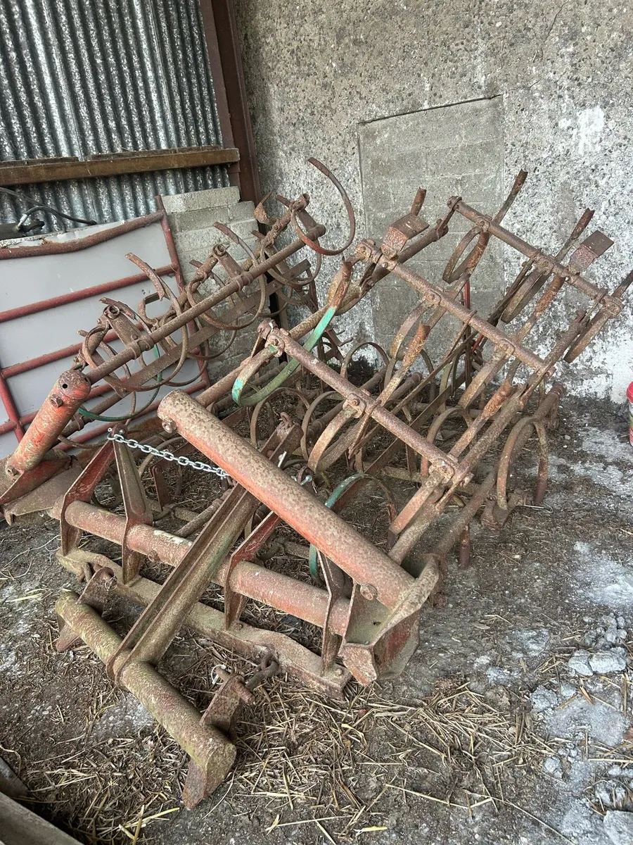 C tine harrow