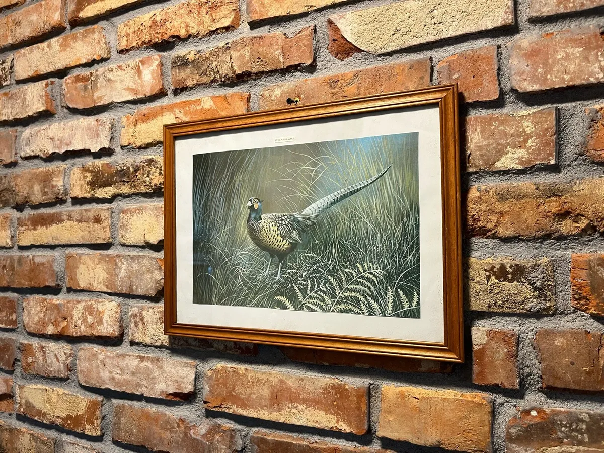 Picture - Image 1
