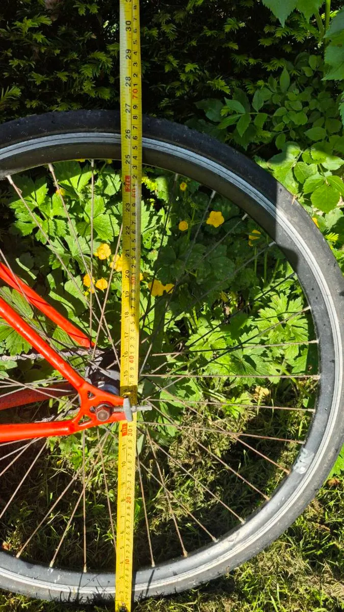 Bicycle - Image 3