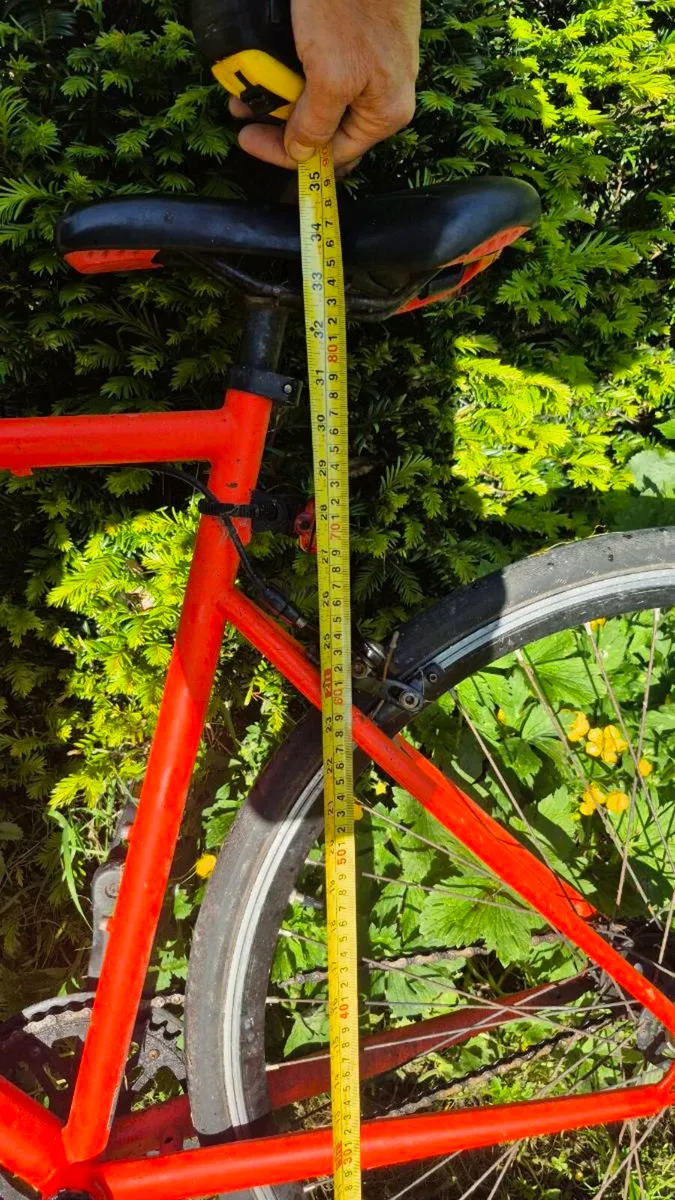 Bicycle - Image 4