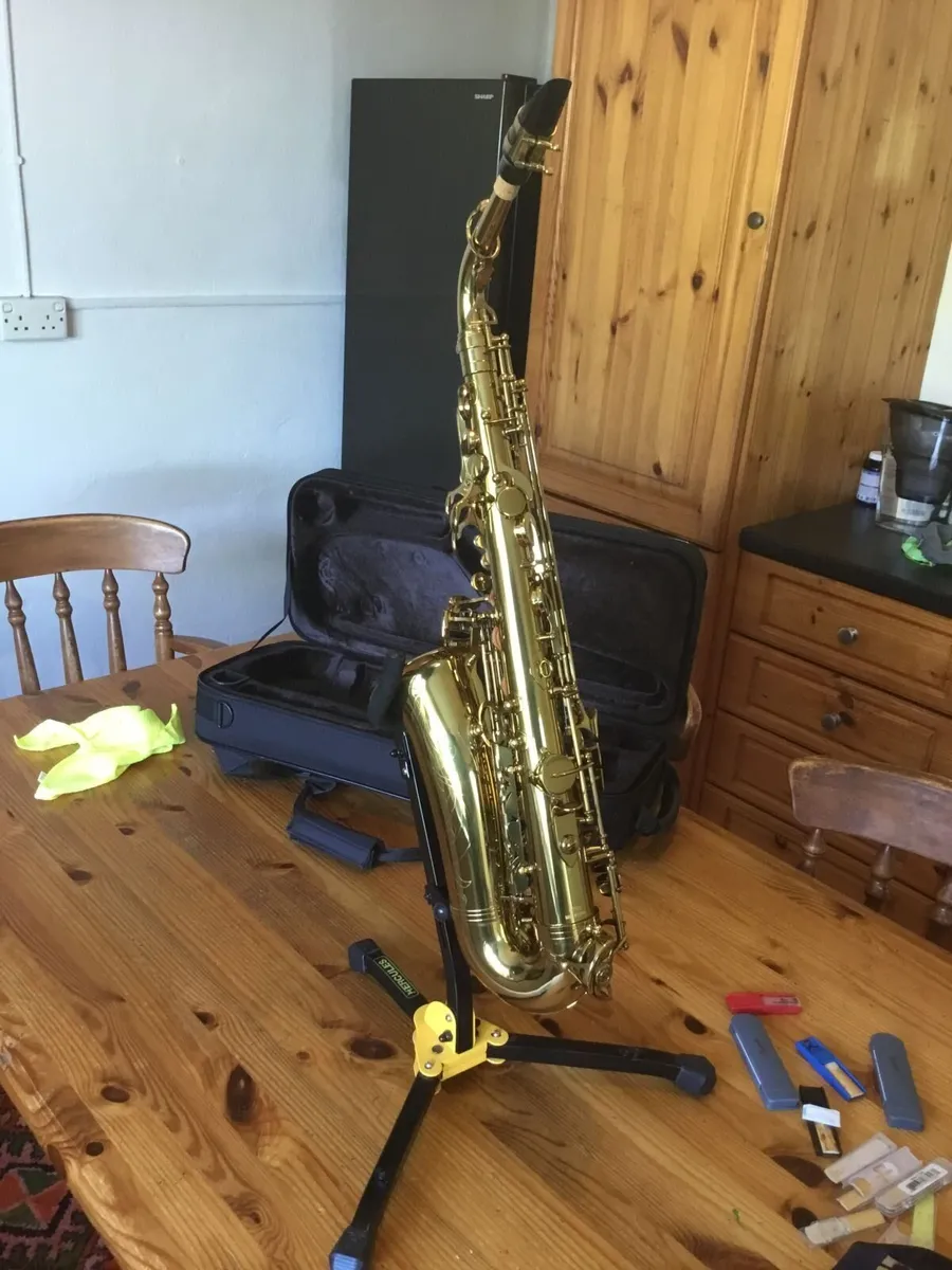 Classic Alto Saxophone - Image 4