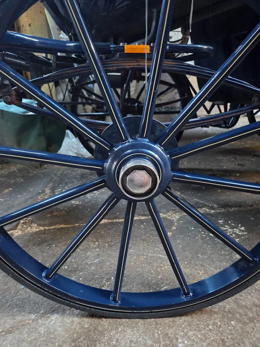 Victoria carriage - Image 2